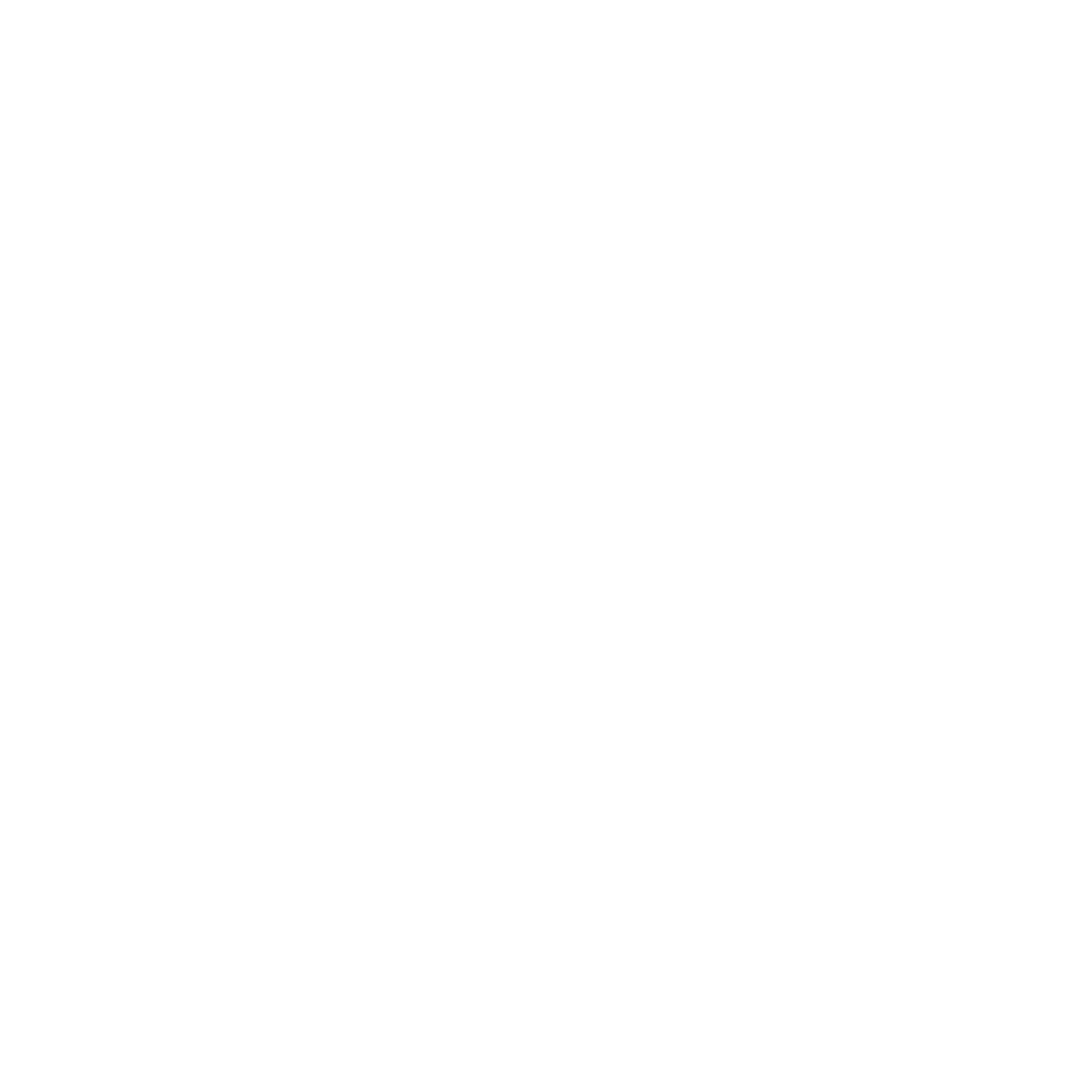 Warrior Technologies Stacked Logo - White